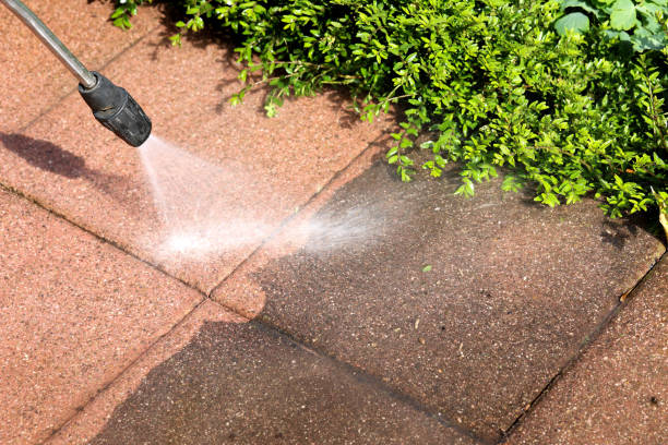 Best Roof Power Washing Services  in Plains, MT